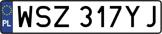 WSZ317YJ
