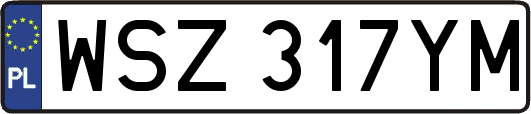 WSZ317YM