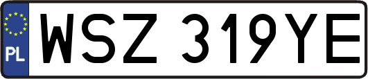 WSZ319YE