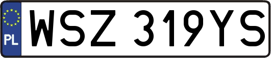 WSZ319YS