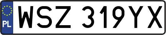 WSZ319YX
