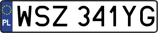 WSZ341YG