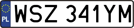 WSZ341YM