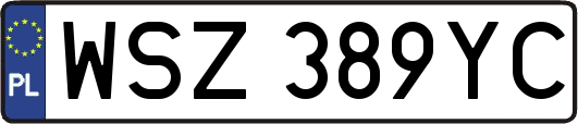 WSZ389YC