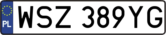 WSZ389YG