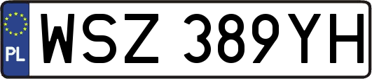 WSZ389YH