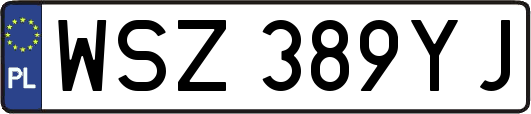 WSZ389YJ