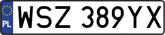 WSZ389YX