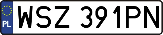 WSZ391PN
