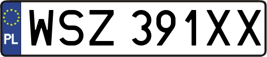WSZ391XX