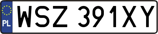 WSZ391XY