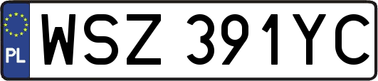 WSZ391YC