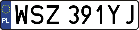WSZ391YJ