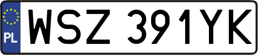 WSZ391YK