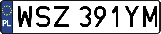WSZ391YM