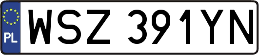 WSZ391YN