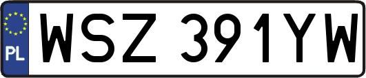 WSZ391YW