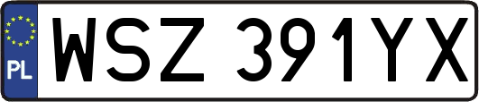 WSZ391YX