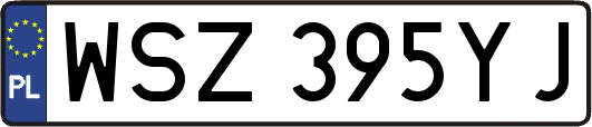 WSZ395YJ