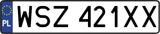 WSZ421XX