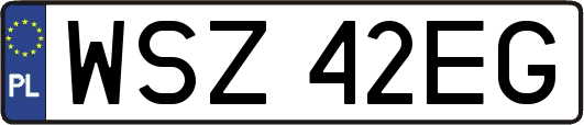 WSZ42EG