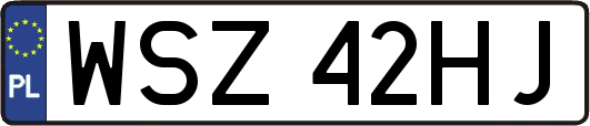 WSZ42HJ