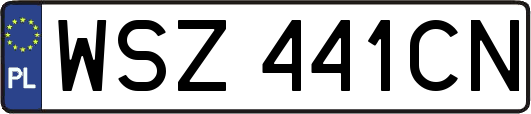 WSZ441CN