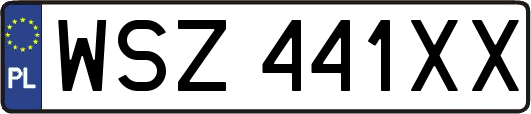 WSZ441XX