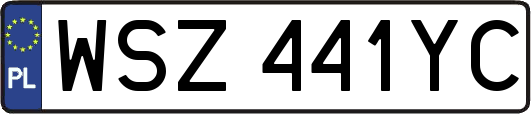 WSZ441YC