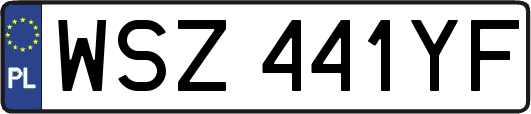 WSZ441YF