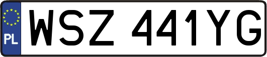 WSZ441YG