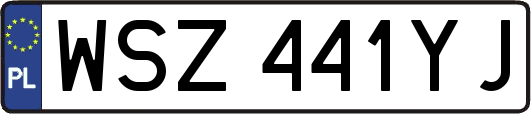 WSZ441YJ