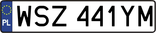 WSZ441YM