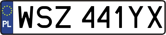 WSZ441YX