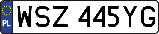 WSZ445YG