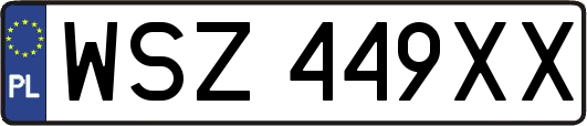 WSZ449XX