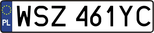 WSZ461YC