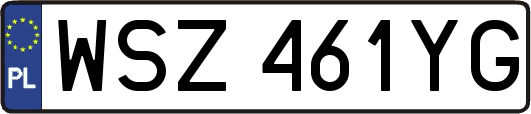 WSZ461YG