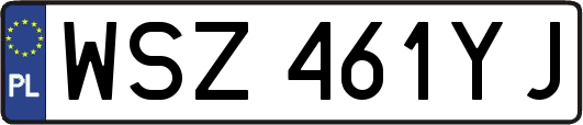 WSZ461YJ