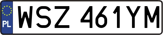 WSZ461YM