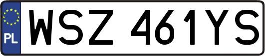 WSZ461YS