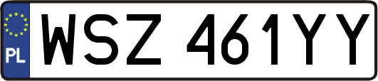 WSZ461YY