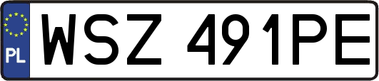 WSZ491PE