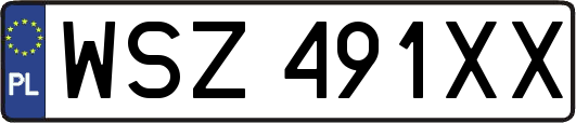 WSZ491XX