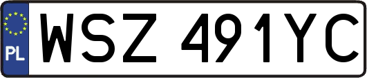 WSZ491YC