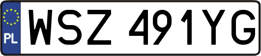 WSZ491YG