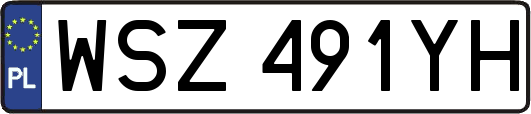 WSZ491YH