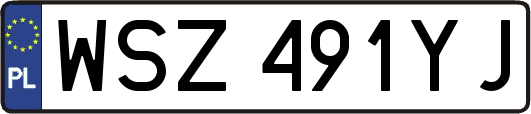 WSZ491YJ