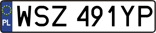 WSZ491YP