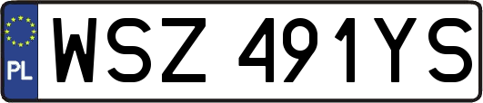 WSZ491YS